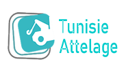 Tunisie Attelage